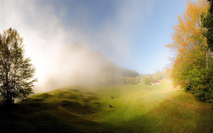草，霧，早上，房子，格拉魯斯，瑞士 桌布 圖片