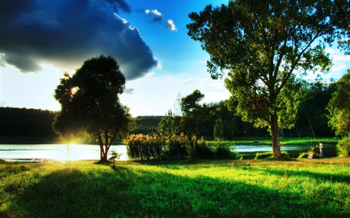 草，樹，河邊，太陽光線，雲 桌布 圖片