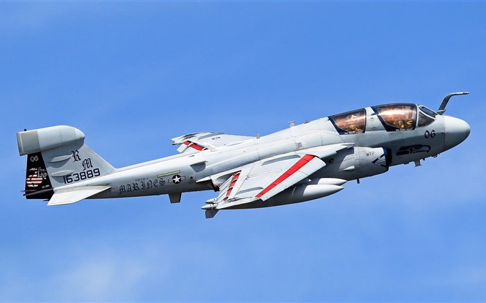 格魯門公司的EA-6B徘徊者飛機 桌布 圖片