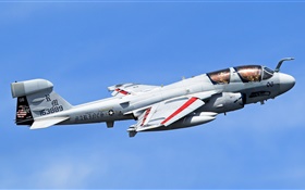 格魯門公司的EA-6B徘徊者飛機 高清桌布