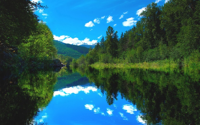 湖泊，森林，樹木，藍天，水中的倒影 桌布 圖片