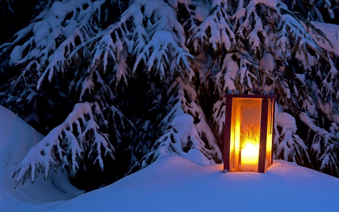 點亮的燈籠，雪樹，冬天 桌布 圖片