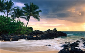 瑪凱那灣，毛伊島，夏威夷，秘密海灘 高清桌布