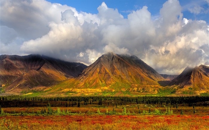 山，樹，雲，迪納利國家公園，阿拉斯加，美國 桌布 圖片