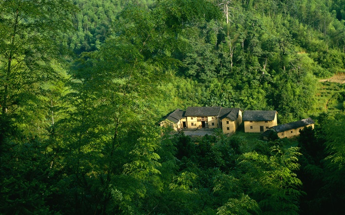 山，樹木，綠色，老房子，中國山水 桌布 圖片