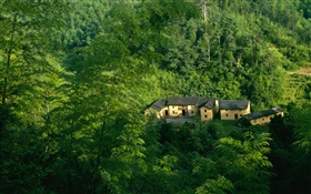 山，樹木，綠色，老房子，中國山水 高清桌布