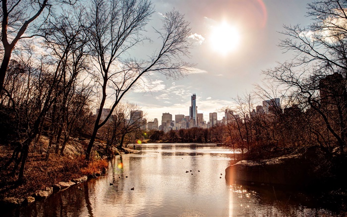 公園，日落，城市，美國，河流，樹木，秋天 桌布 圖片