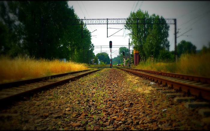 鐵路，樹木，電力線，紅燈 桌布 圖片