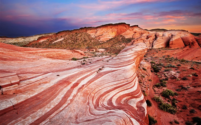 紅色的岩石，沙漠，日落 桌布 圖片