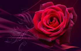 紅玫瑰的花特寫 高清桌布