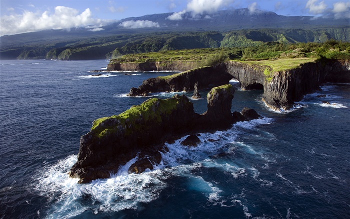 岩石海岸，太平洋，夏威夷毛伊島 桌布 圖片