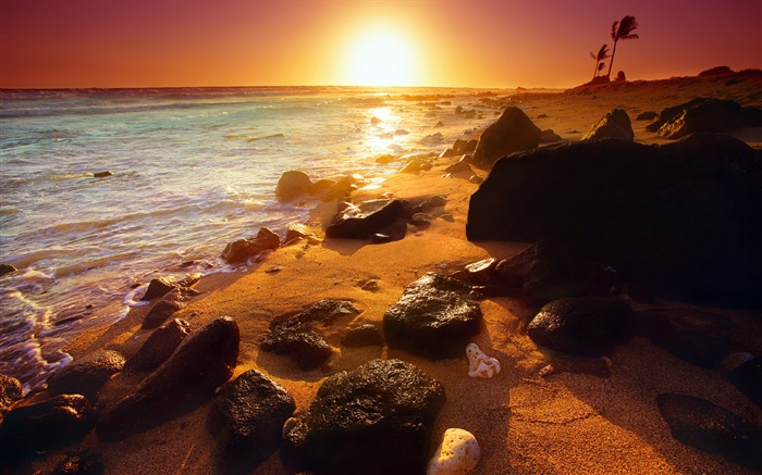 洛磯海岸線，日落，夏威夷，美國 桌布 圖片