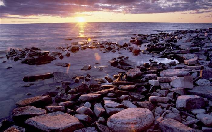 石頭，海岸，海，日出，雲海 桌布 圖片