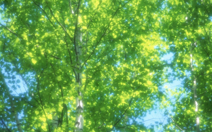 夏季白樺林，太陽，模糊 桌布 圖片