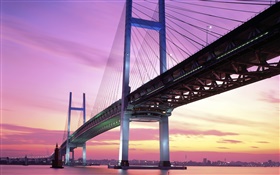 橫浜橋，日本，黃昏，海