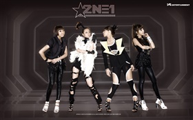 2NE1，韓國音樂女孩 07 高清桌布