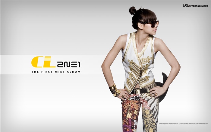2NE1，韓國音樂女孩 09 桌布 圖片