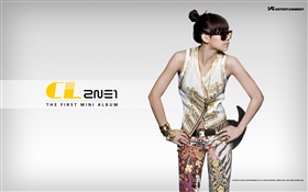 2NE1，韓國音樂女孩 09 高清桌布