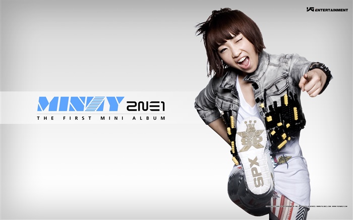 2NE1，韓國音樂女孩 11 桌布 圖片