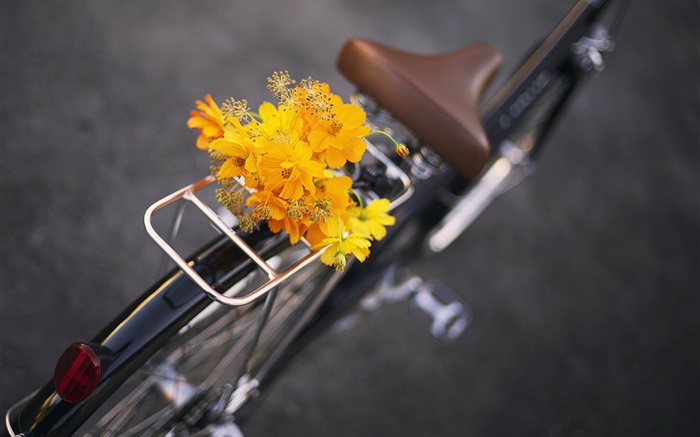 自行車，黃色的花，花束 桌布 圖片