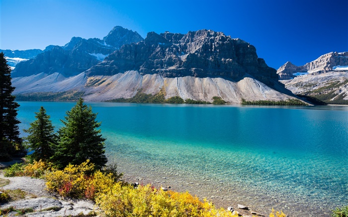 弓湖，加拿大阿爾伯塔省，山，樹，藍天 桌布 圖片