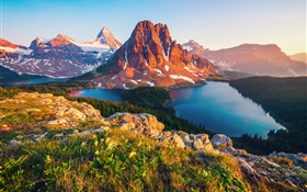 加拿大，不列顛哥倫比亞省，湖，山，森林，樹木 高清桌布