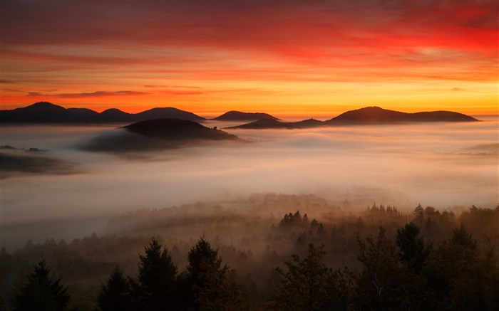 黎明，山，林，雲，紅色的天空，霧 桌布 圖片
