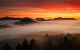 黎明，山，林，雲，紅色的天空，霧