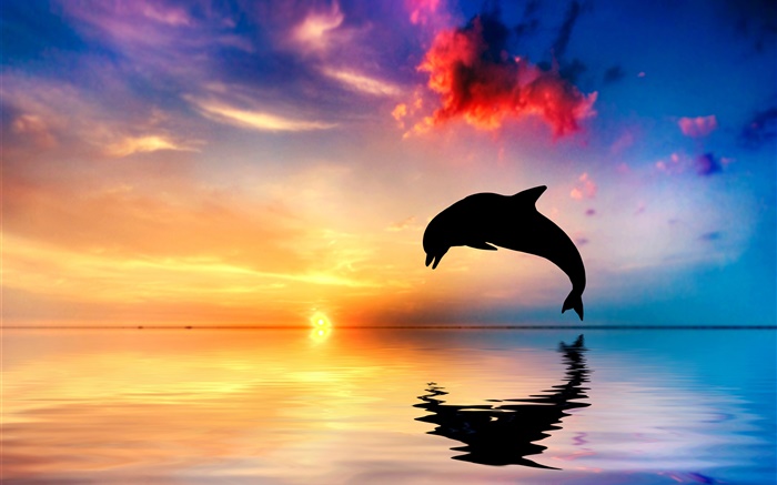 海豚跳躍，剪影，海洋，水中的倒影，夕陽 桌布 圖片