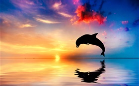 海豚跳躍，剪影，海洋，水中的倒影，夕陽 高清桌布