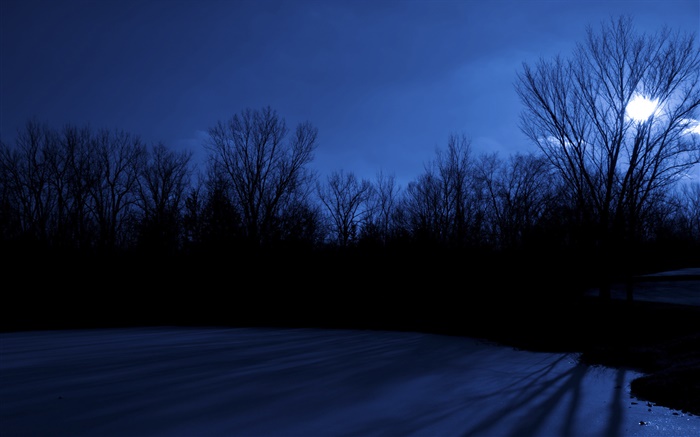 復活節湖，樹，晚上，月亮，得梅因，美國愛荷華州 桌布 圖片