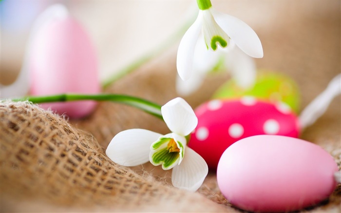 復活節彩蛋，雪花蓮 桌布 圖片