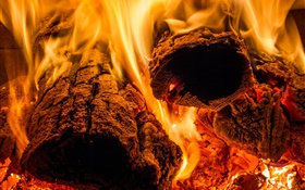 火焰，火，木，熱 高清桌布