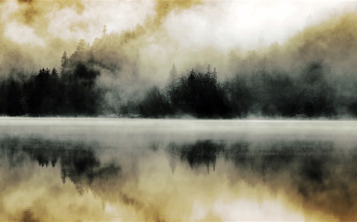 森林，湖泊，薄霧，黎明，水中的倒影 桌布 圖片