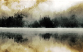 森林，湖泊，薄霧，黎明，水中的倒影