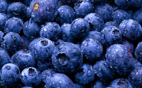 水果特寫鏡頭，藍莓 高清桌布