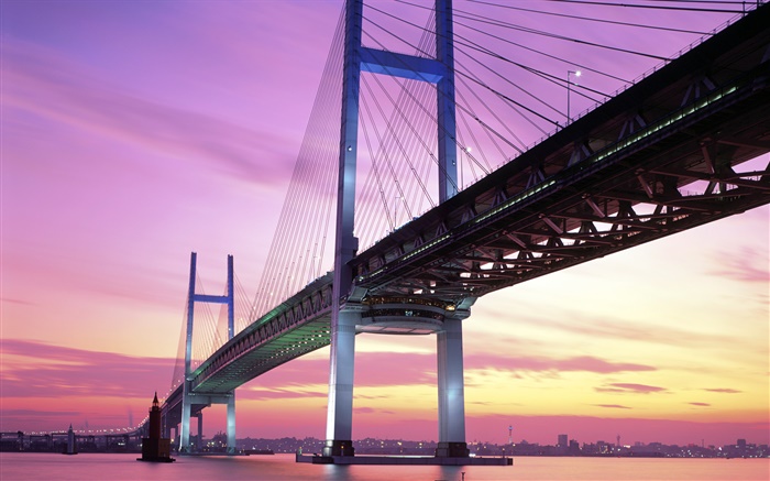 日本，橋，海，日落 桌布 圖片