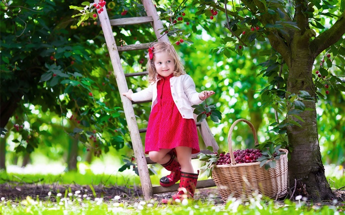 小女孩採摘櫻桃，兒童，樹，花園 桌布 圖片