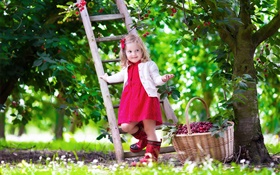 小女孩採摘櫻桃，兒童，樹，花園