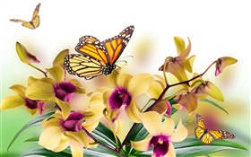 蘭花，花，葉，花瓣，蝴蝶 高清桌布