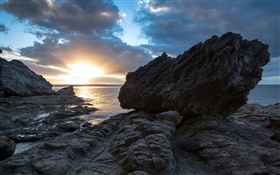 岩石，海，夕陽，科羅曼德，新西蘭 高清桌布