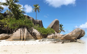 塞舌爾島，沙灘，石頭，棕櫚樹 高清桌布