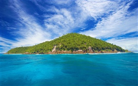 塞舌爾島，小島，樹木，海 高清桌布