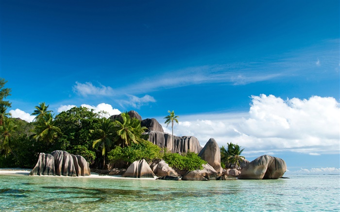 塞舌爾島，海，海岸，石頭，棕櫚樹，雲 桌布 圖片