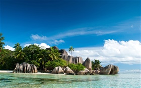 塞舌爾島，海，海岸，石頭，棕櫚樹，雲 高清桌布