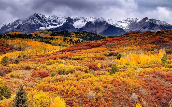 邊坡，山，樹，秋天，雲 桌布 圖片