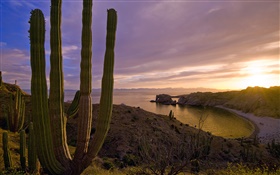 夕陽西下，群山，大海，聖卡塔利娜島，美國加利福尼亞州 高清桌布