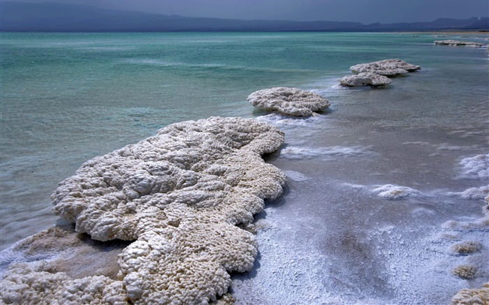 死海，黃昏，鹽 桌布 圖片