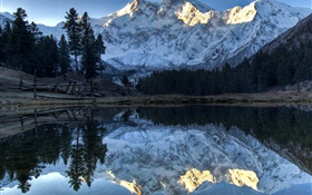 山脈，湖泊，樹木，水中的倒影，雪 高清桌布