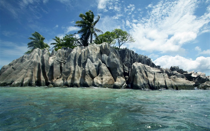 海，石，樹，雲，塞舌爾島 桌布 圖片
